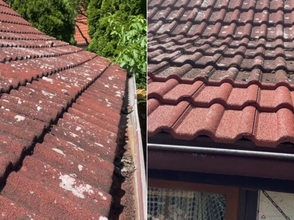 www.vycistimstrechu.cz