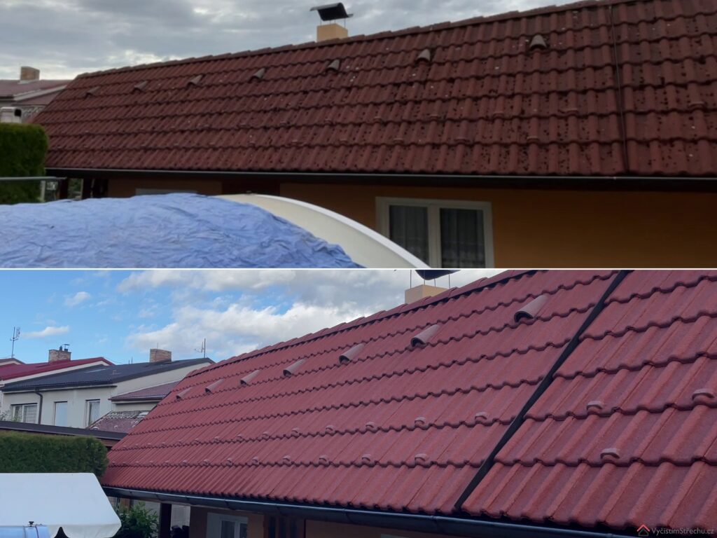 www.vycistimstrechu.cz