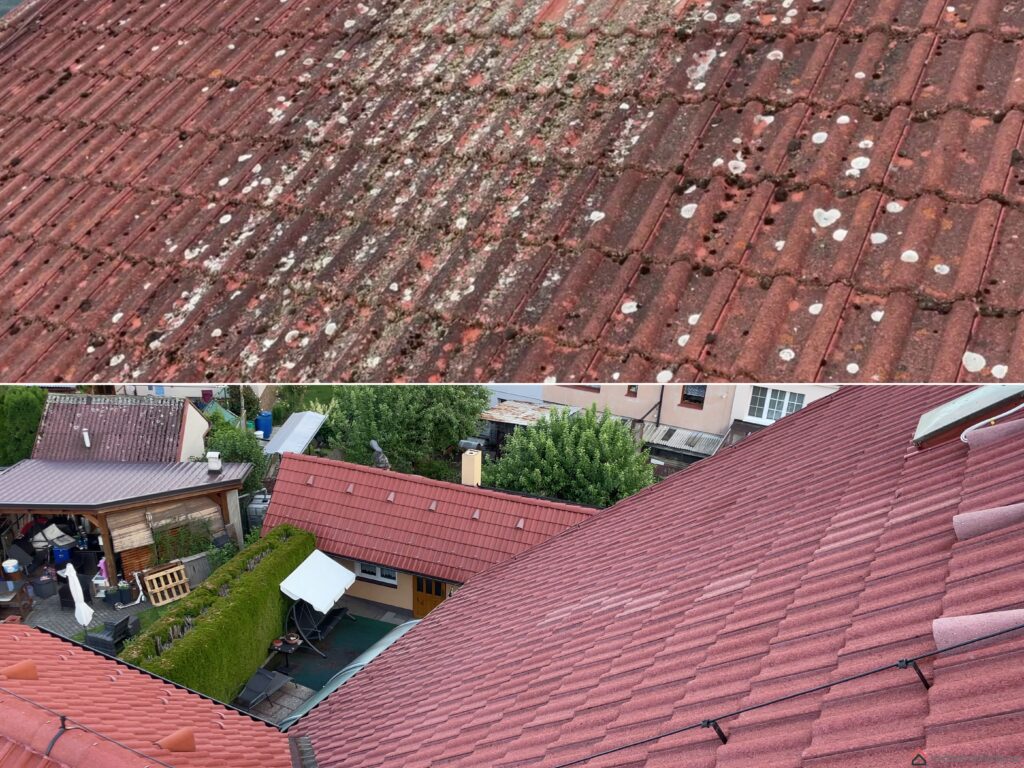 www.vycistimstrechu.cz